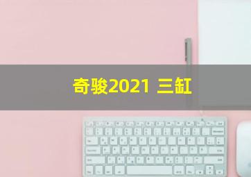 奇骏2021 三缸